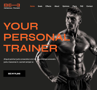 personaltrainer3